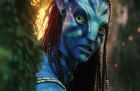 AVATAR 3D