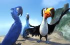 Rio 3D