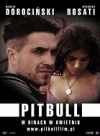 PitBull