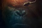 Kong: Wyspa czaszki  3D