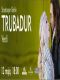  Opera HD: Trubadur - Giuseppe Verdi – Berli