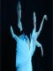 Balety z Teatru Bolszoj na wielkim ekranie. Don Ki